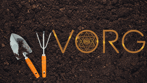 Assortment of superfoods grown in home garden.