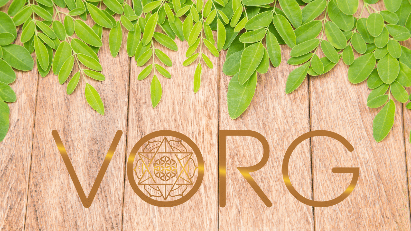 Moringa leaves and powder showcasing its superfood benefits.
