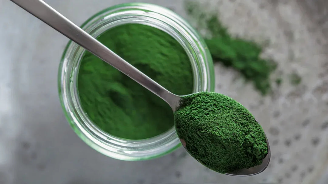 Chlorella: The Ultimate Green Superfood Unlocked!