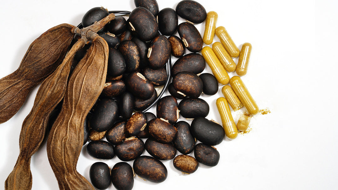 Mucuna Pruriens: The Velvet Bean Superfood with Remarkable Benefits