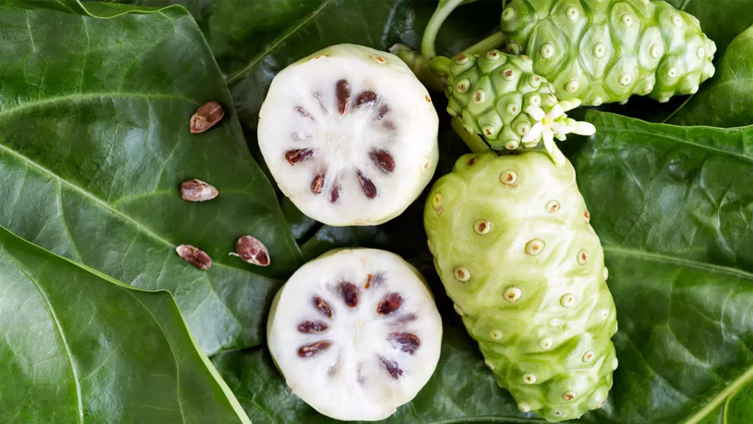 Noni Fruit: The Tropical Superfruit with Diverse Health Benefits